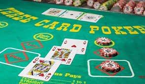 casino365
